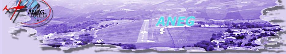 ANEG 2010 ANEG 2010